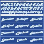 Custom Name and Number Performance T-Shirt for Team - Personalized Royal White-Light Blue Personalized Royal White-Light