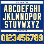 Custom Name and Number Authentic Baseball Jersey - Personalized Royal White Pinstripe Gold-White Design Personalized Royal