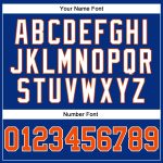Custom Name and Number Personalized Orange-White Royal Pinstripe Baseball Jersey Personalized Royal White Pinstripe Orange-White