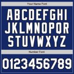 Custom Authentic Baseball Jersey - Personalized Royal White Pinstripe with Team Name and Number in Gray-Black Personalized