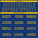 Custom Name and Number Soccer Jersey - Personalized Royal Yellow Pinstripe Fade Fashion Sublimation Uniform Personalized