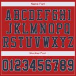 Personalized Custom Name and Number Football Jersey - Scarlet Navy-Light Gray Mesh Authentic Team Jersey Personalized Scarlet