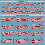 Custom Personalized Baseball Jersey Shadow Blue Red-White with Team Name and Number Authentic Personalized Shadow Blue Red-White