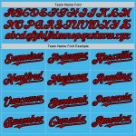 Custom Name Number Unisex Softball Jersey Sky Blue Black Pinstripe Two-Button Design - Personalize Your Team Jersey Personalized