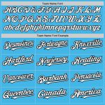 Custom Name and Number Softball Jersey Unisex Two-Button Sky Blue with Black Pinstripes Personalized Sky Blue Black Pinstripe