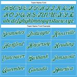 Custom Team Performance T-Shirt with Personalized Name & Number - Sky Blue & Kelly Green-White Personalized Sky Blue Kelly