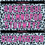 Custom Name Number Personalized Leopard Print 3D Pattern Bomber Varsity Jacket Sky Blue Pink Black Full-Snap Design Personalized