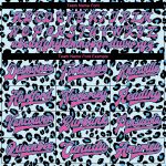 Custom Name Number Personalized Leopard Print 3D Pattern Bomber Varsity Jacket Sky Blue Pink Black Full-Snap Design Personalized
