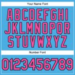Custom Team Name and Number Performance T-Shirt in Sky Blue Pink-Black - Personalized Sports Apparel Personalized Sky Blue