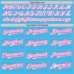 Custom Name and Number Unisex Softball Jersey - Sky Blue Pink Pinstripe Two-Button - Personalized Team Apparel Personalized