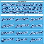 Custom Team Name and Number Performance T-Shirt - Sky Blue Royal White Personalized Sky Blue Royal-White Performance T-Shirt
