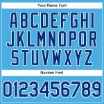 Custom Team Name and Number Performance T-Shirt - Sky Blue Royal White Personalized Sky Blue Royal-White Performance T-Shirt