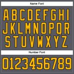 Custom Hockey Lace Neck Jersey with Personalized Name & Number in Steel Gray and Gold-Black Personalized Steel Gray Gold-Black