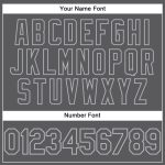 Custom Team Name and Number Steel Gray Performance T-Shirt for Men and Women Personalized Steel Gray Gray Performance T-Shirt