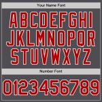 Custom Name and Number Authentic Baseball Jersey in Steel Gray with Red-White Line Personalized Steel Gray Red-White Line