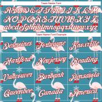 Custom Team Name Number 3D Sweatshirt Hoodie Personalized Aqua Red Christmas Pullover Personalized Stitched Aqua White-Red