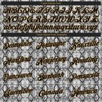 Custom Name and Number Snakeskin Sports Hoodie with 3D Pattern Design - Personalized Stitched Black and Gold Pullover Sweatshirt