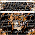 Custom Flame Tiger Sports Hoodie 3D Pattern Sweatshirt with Stitched Name & Number - Black Orange-White Design Personalized