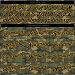 Custom Name Number Camo Hoodie Salute to Service Black Gold Sports Pullover Sweatshirt Personalized Stitched Camo Black-Gold