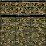 Custom Name and Number Camo Navy Gold Sports Hoodie Pullover Sweatshirt Salute to Service Personalized Stitched Camo Navy-Gold
