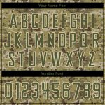 Custom Name Number Pullover Hoodie Stitched Camo Olive-Cream Sports Sweatshirt Salute to Service Personalized Stitched Camo