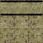 Custom Name Number Pullover Hoodie Stitched Camo Olive-Cream Sports Sweatshirt Salute to Service Personalized Stitched Camo