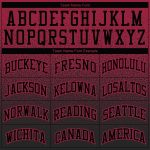 Personalized Custom Name Number Cardinal Black Fade Hoodie Sweatshirt Fashion Sports Pullover Personalized Stitched Cardinal