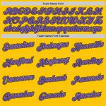 Custom Name Number Sports Hoodie Personalized Stitched Gold Purple Gray Pullover Sweatshirt Personalized Stitched Gold Purple-Gray