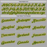 Custom Name Number Pullover Hoodie Sports Sweatshirt Gray Green-Gold Stitched Personalized Stitched Gray Green-Gold Sports