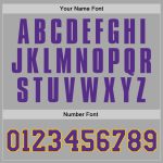 Custom Gray Purple-Gold Sports Hoodie with Team Name and Number | Personalized Stitched Pullover Sweatshirt Personalized