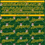 Custom Christmas Dog Hoodie Santa Costume 3D Sports Pullover Sweatshirt with Personalized Name and Number - Stitched Green Gold