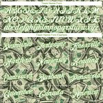 Custom Name and Number Dollar Sports Hoodie, Personalized Neon Green-White 3D Pattern Pullover Sweatshirt Personalized Stitched