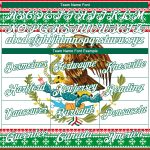 Custom 3D Mexican Flag Sports Hoodie with Name and Number in Kelly Green, White, Red - Personalized Pullover Sweatshirt Personalized