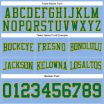 Custom Name Number Football Hoodie Sweatshirt Light Blue Kelly Green Gold Stitched Pullover Team Apparel Personalized Stitched
