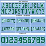 Custom Name Number Football Hoodie Sweatshirt Light Blue Kelly Green Stitched Pullover for Teams Personalized Stitched Light