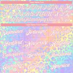 Custom Name Number Leopard Pullover Hoodie Light Pink White 3D Pattern Stitched Sweatshirt for Team Sports Personalized Stitched