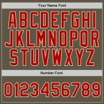 Custom Name Number Sports Hoodie Pullover Sweatshirt Salute To Service Stitched Olive Red Cream Team Gear Personalized Stitched