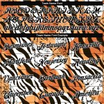 Custom Name Number 3D Tiger Sports Hoodie Sweatshirt with Stitched Orange Black-White Pattern Design Personalized Stitched