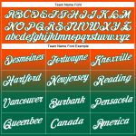 Custom Team Name Number Sports Hoodie Orange White Kelly Green Pullover Sweatshirt Personalized Stitched Orange White-Kelly