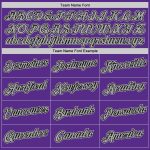 Custom Name and Number Sports Hoodie Sweatshirt - Personalized Purple Black-Gray Stitched Pullover Personalized Stitched