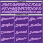 Custom Name and Number Sports Hoodie Pullover Sweatshirt - Personalized Stitched Purple Light Blue-Pink Team Apparel Personalized