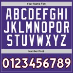 Custom Name Number Sports Hoodie Sweatshirt for Team - Personalized Purple White Red Stitched Pullover Personalized Stitched