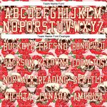 Custom Name Number 3D Skull Pullover Hoodie Red Cream Fashion Flower Sports Sweatshirt Personalized Stitched Red Cream 3D