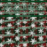 Custom Name and Number 3D Christmas Plaid Hoodie Sweatshirt - Personalized Red Green White Pullover for Snow Sports Personalized