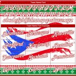 Personalized 3D Puerto Rican Flag Hoodie with Custom Name & Number - Red White Kelly Green Sports Pullover Sweatshirt Personalized
