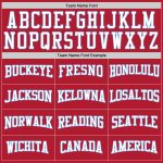 Custom Name Number Sports Hoodie Pullover Sweatshirt Red White Light Blue Pinstripe Design for Teams Personalized Stitched