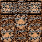 Custom Name Number Tiger Sports Hoodie Sweatshirt with 3D Pattern Design in Vegas Gold Black-White Personalized Stitched