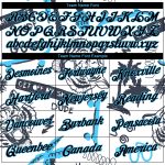 Custom Name & Number Sports Hoodie with 3D Tiger & Hawaii Palm Tree Design - Stitched White & Black-Sky Blue Pullover Sweatshirt