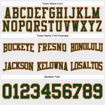 Custom Name Number Football Hoodie Sweatshirt White Green Orange Personalized Stitched Team Apparel Personalized Stitched