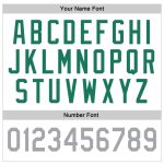 Custom Name and Number Sports Hoodie for Teams, Personalized Stitched White Kelly Green-Gray Pullover Sweatshirt Personalized